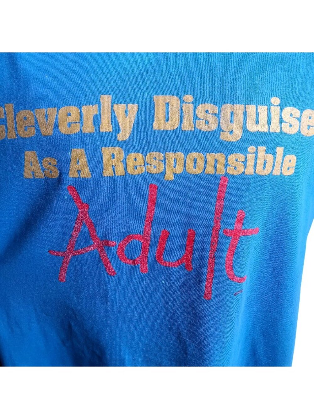 Vintage T-shirt Large SIngle Stitch 80's Responsible Adult Adulting Fruit Loom